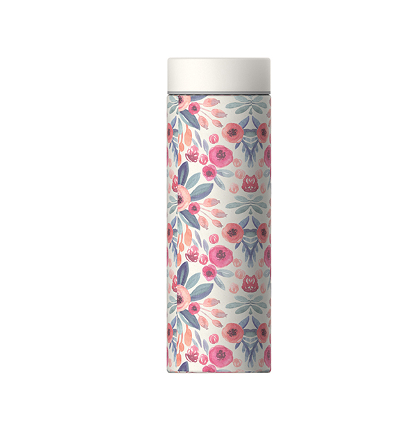 Bouteille en acier inoxydable (17 oz)