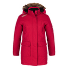 Parka style aviateur isolé 