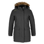 Parka style aviateur isolé 