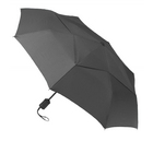 Parapluie (43 po)