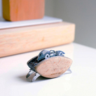 Outil multifonction en forme de crabe